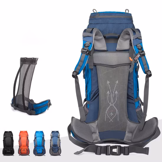 Sac à dos militaire de loisirs d'équipement de sports de plein air Multi